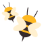 Honeybee Writing